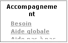 Zone de Texte: Accompagnement
Besoin
Aide globale
Aide pas � pas


