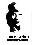 Text Box:  
Image  deux interprtations
